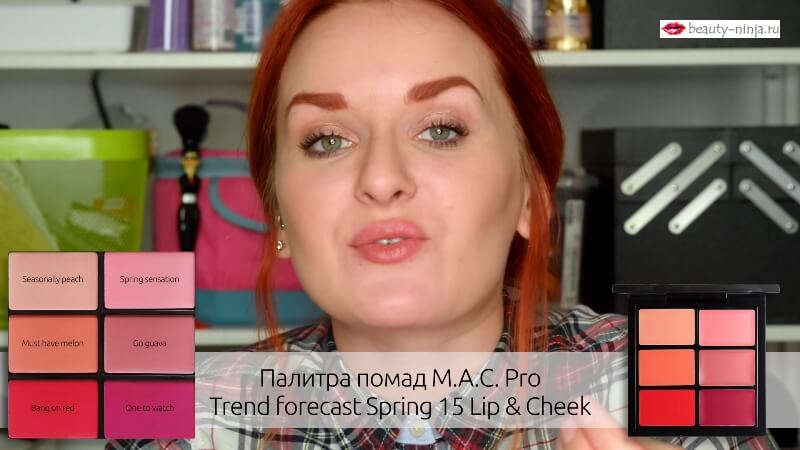 palitra_pomad_mac_pro_trend_forecast_spring_15_lip_&_cheek